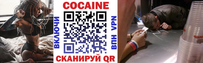 Кокаин FishScale  сколько стоит  Саранск 