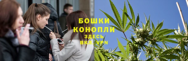 бошки Алексин