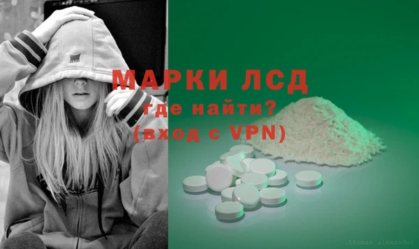 винт Алзамай