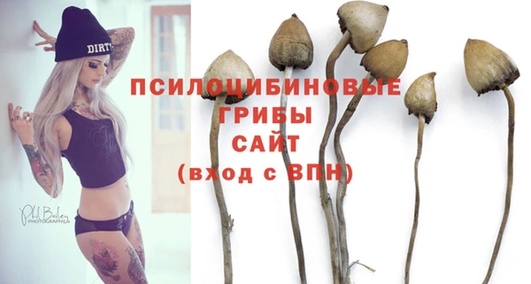 синтетический гашиш Алексеевка