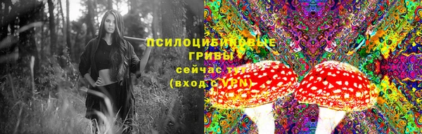 бошки Алексин